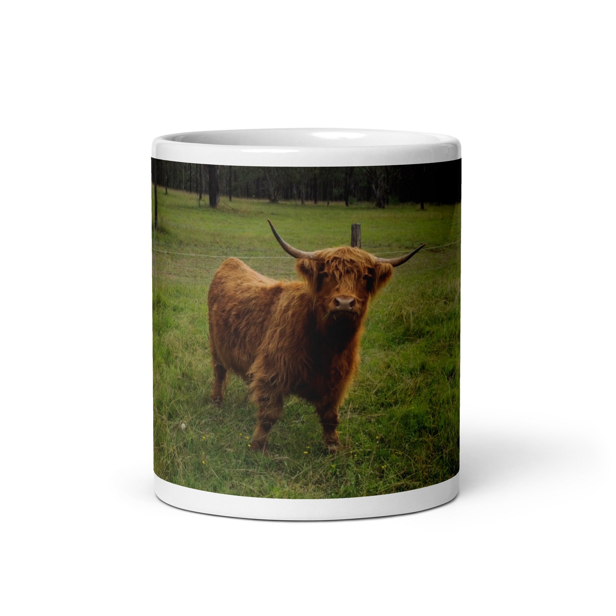 Highland Universe - OEMUniverse