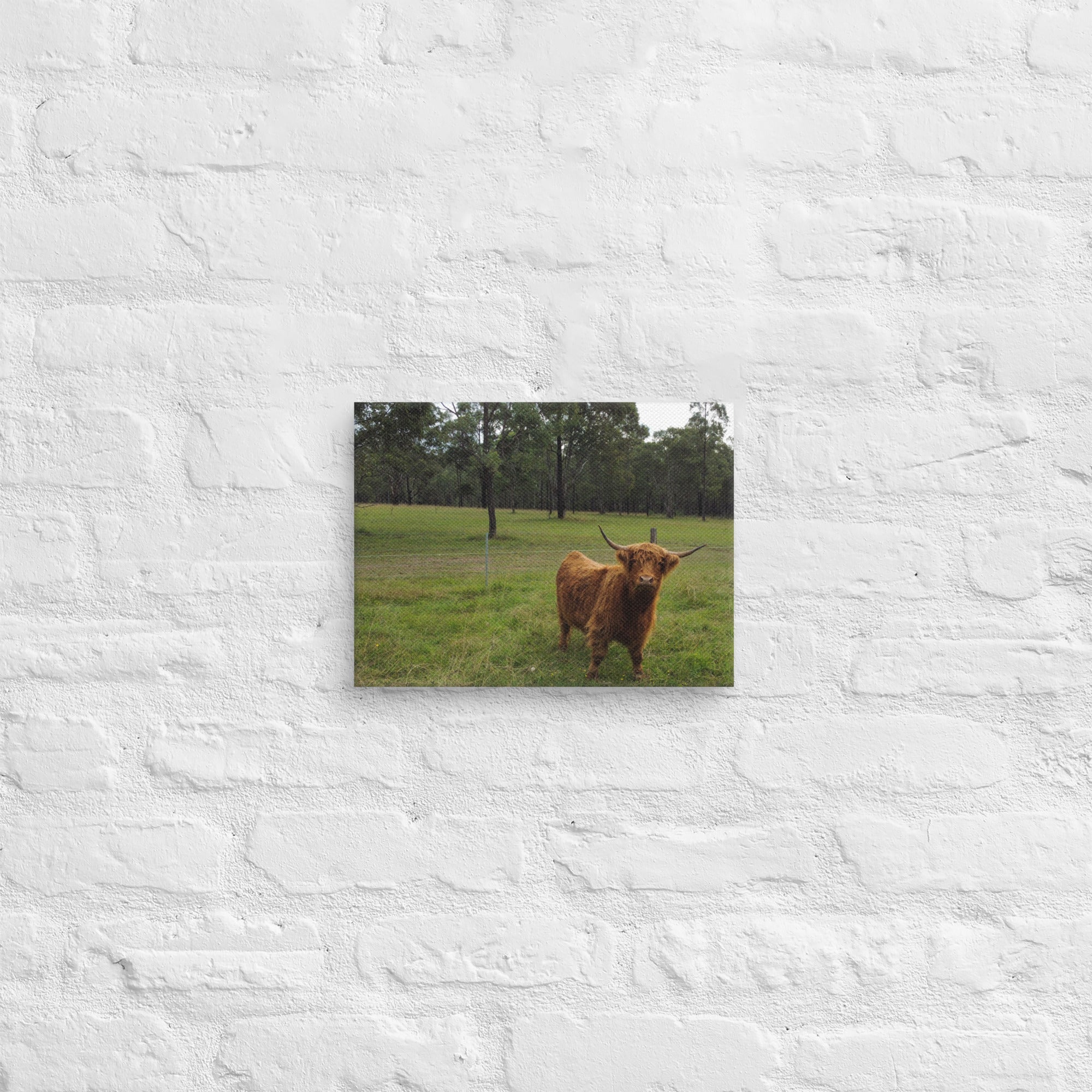 TheVillageHighlandCows Freya Canvas - OEMUniverse